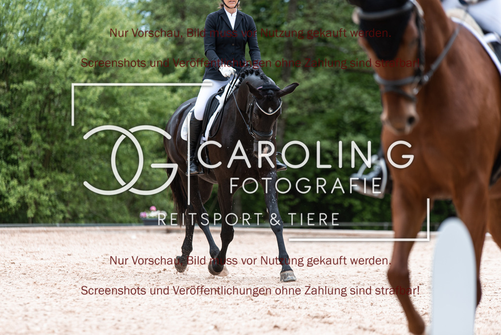 DSC_6875 | Turnierfotografin Carolin Gieschke,Reitsport Turnierfotografie Carolin G Fotografie | Turnierfotos aus Kirchheim/Teck, Esslingen, Stuttgart und dem Bodenseekreis