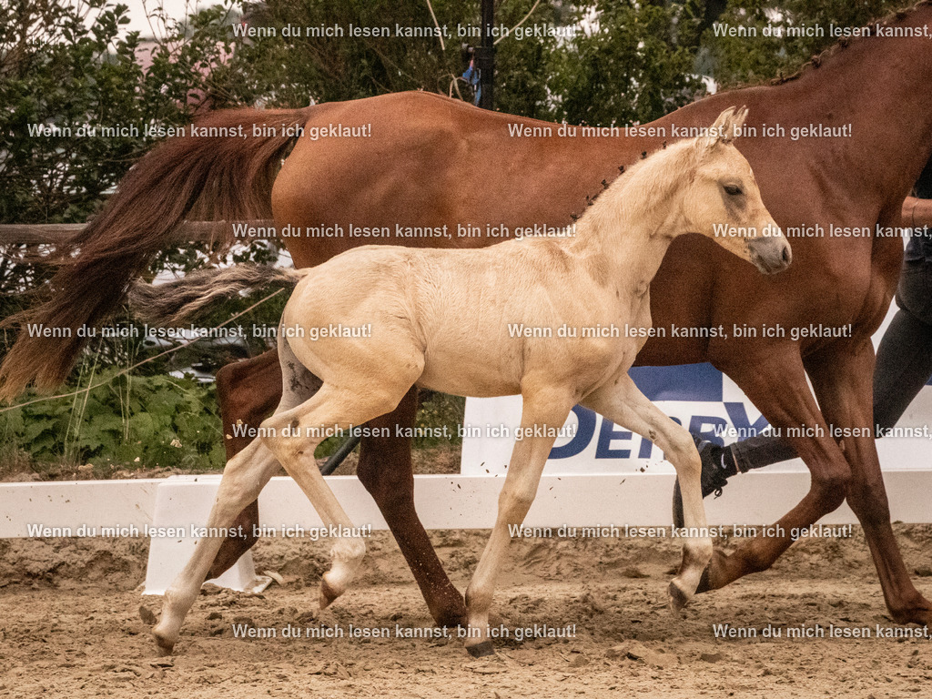 A10I1783 15.54.45 | photographylinaismer - Realisiert mit Pictrs.com
