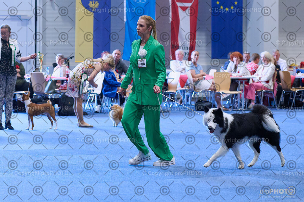 202406_ÖKV-IHA-Tulln24_DSC_3915 | proPHOTO - Realisiert mit Pictrs.com