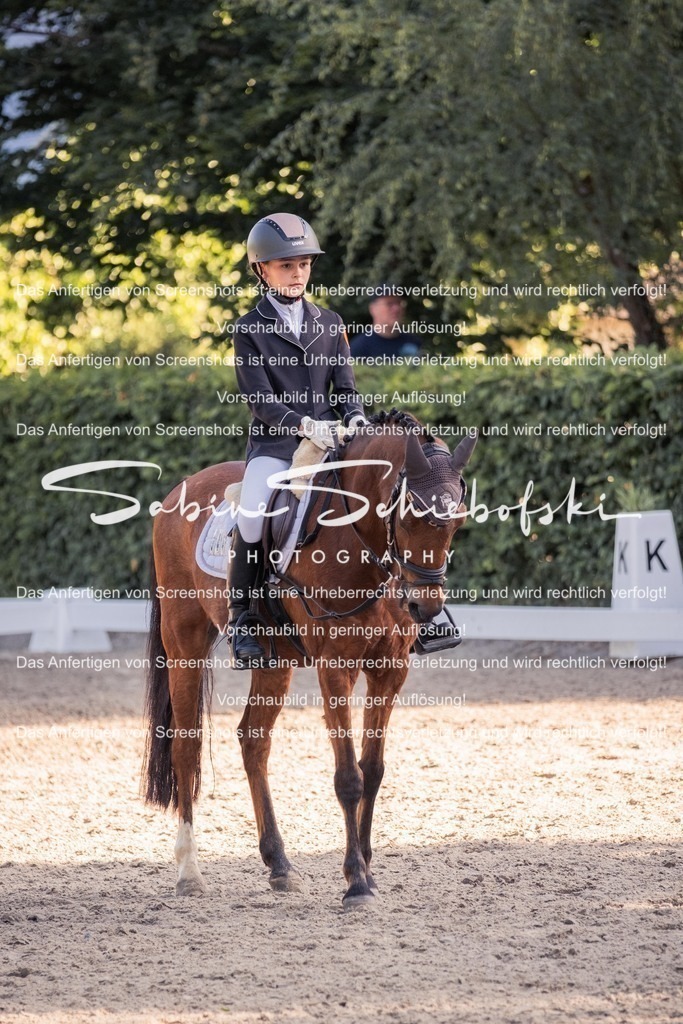 2025_05_31_DSCF2743 | People- und Tierfotografie, Imageaufnahmen, Veranstaltungsfotografie und Wandbilder aus der Natur ★ Made in Germany ✔️ Druck + Downloads ✔️ Naturfotografie in Top Qualität ★ schneller Versand, weltweite Lieferung! - Realisiert mit Pictrs.com