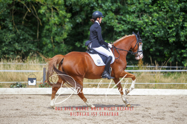 DKP46727 | Turniersportfotografie; Pferdefotografie; Dressurfotografie