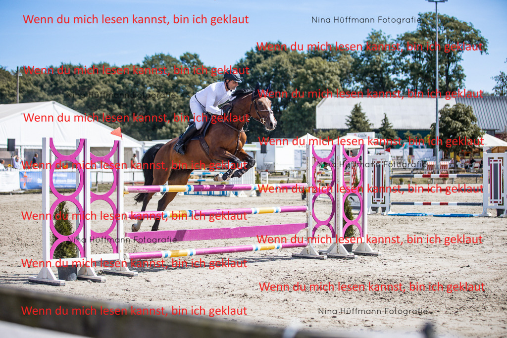 BK1A6519 | Turnierbilder Turnierfotos Nina Hüffmann Turnierfotografie Pferdefotografie Tierzeichnung Haustierzeichnung Pferdezeichnung Hundezeichnung Videograf  - Realisiert mit Pictrs.com