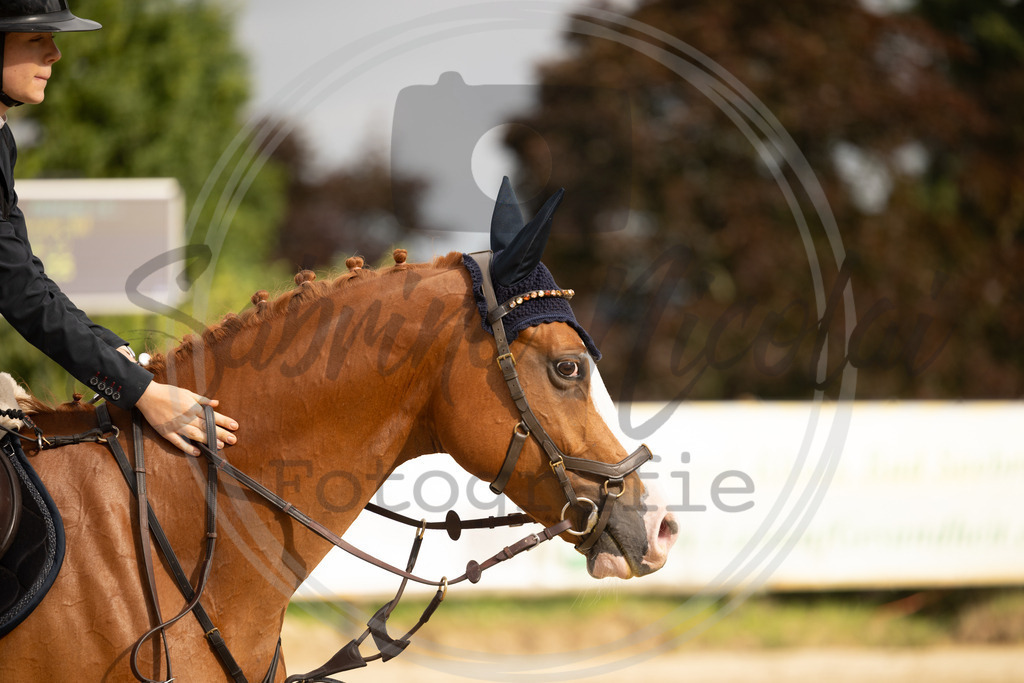 994A7389 | sabrinanicolaifotografie - Realisiert mit Pictrs.com