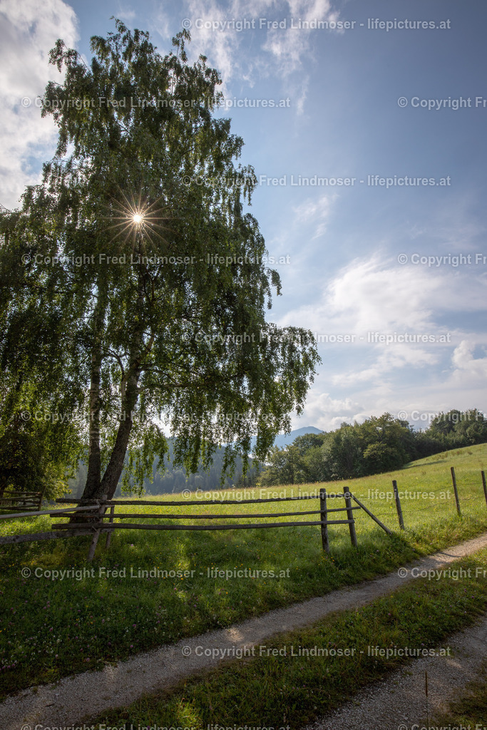 Sternwarte Mariazell-49227 | Fotos und Fotoprodukte - Realisiert mit Pictrs.com