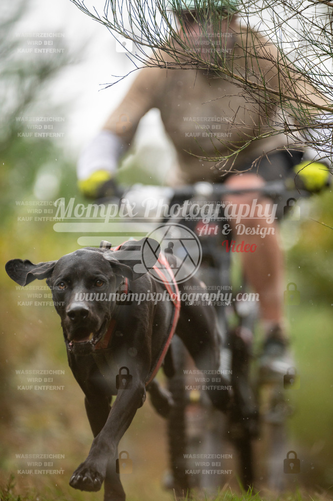 TSB_2023_E5_Bike-46 | PayLife