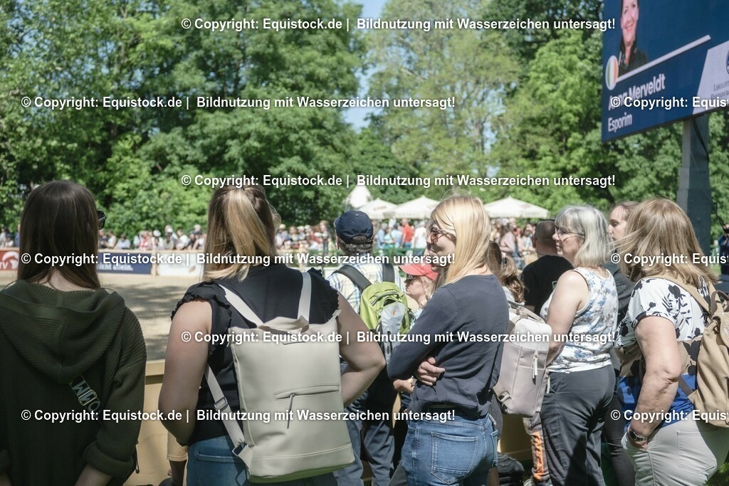 ZFC_3978 | equistock