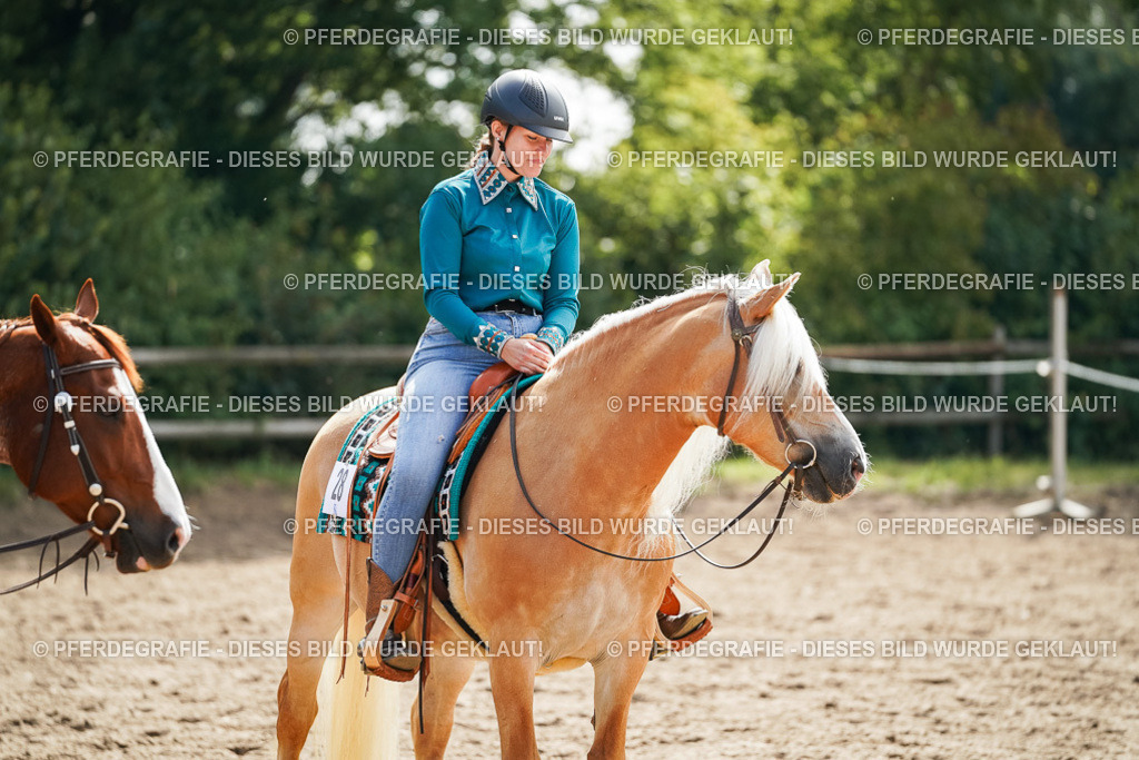 DSC04615 | Pferdegrafie