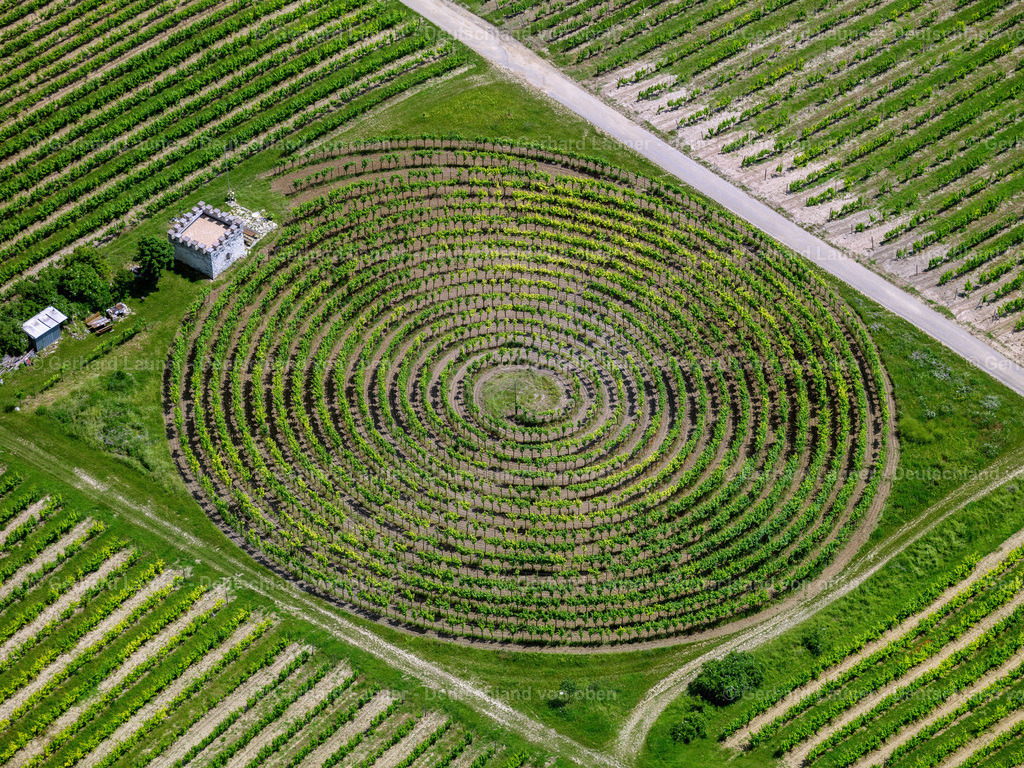 2822464 | kreisrunder Weinberg bei Zellertal-Marxheim