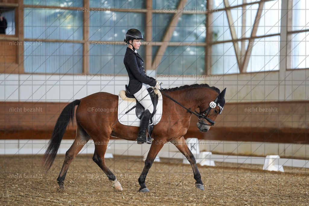 20240824-FAH06937 | Thierhaupten 2024, Bayerisches Landesponyturnier, Turnierbilder, Ponybilder, Turnierfotografen Bayern, Fotoagentur Herrmann