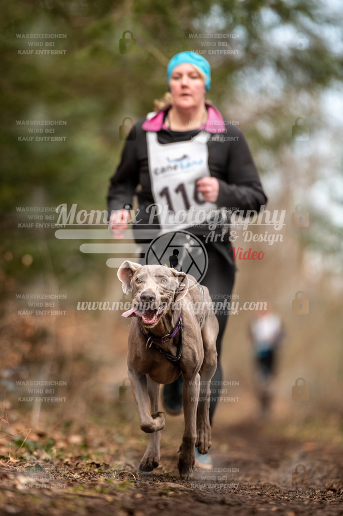 Reiat2023_SAM_CaniXRun_5km_W-53 | PayLife