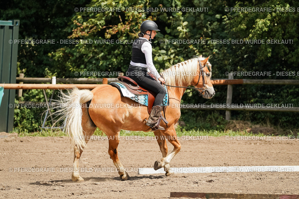 DSC07093 | Pferdegrafie