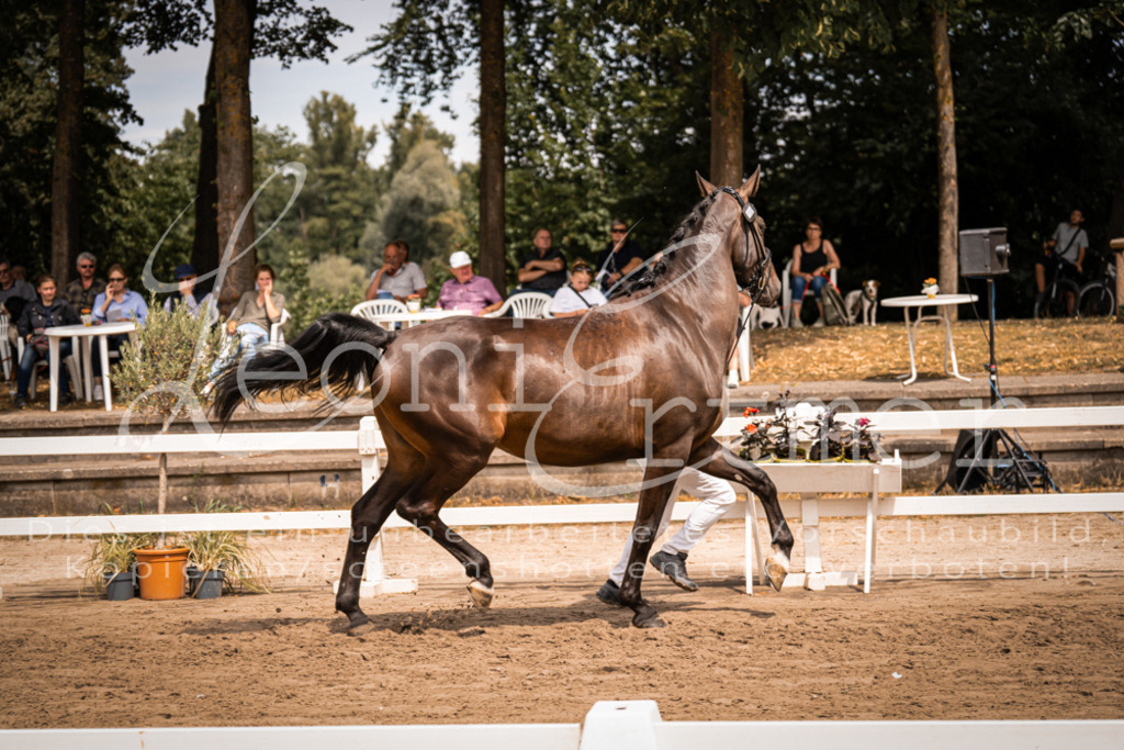 3.Fr00055 | Leoni Ertmer Photography - Realisiert mit Pictrs.com