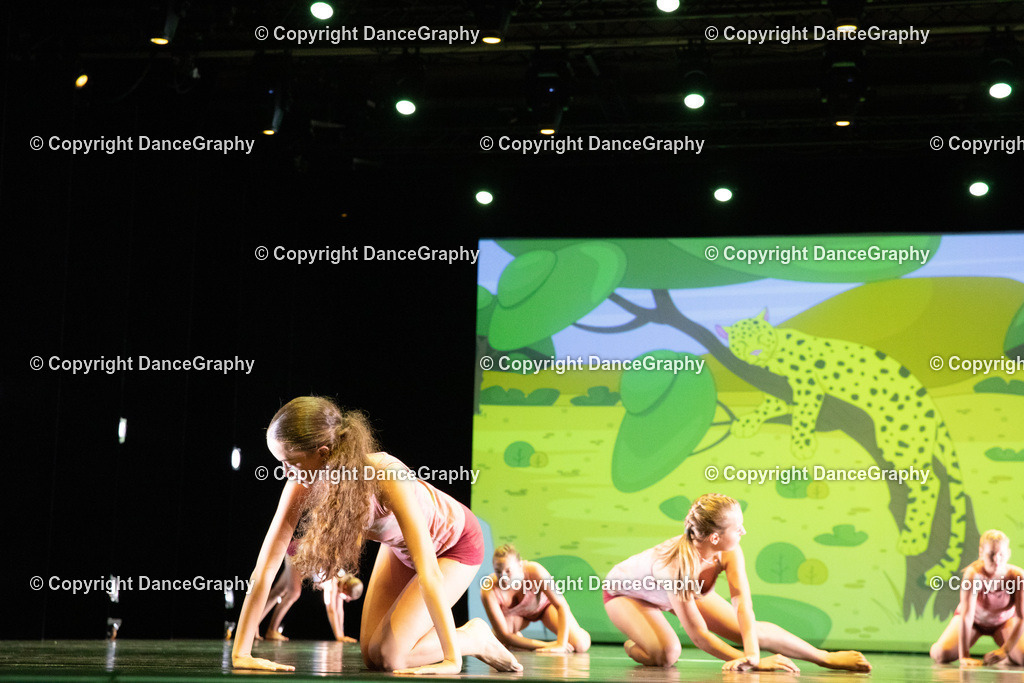 GPHY6333 | DanceGraphy - Realisiert mit Pictrs.com