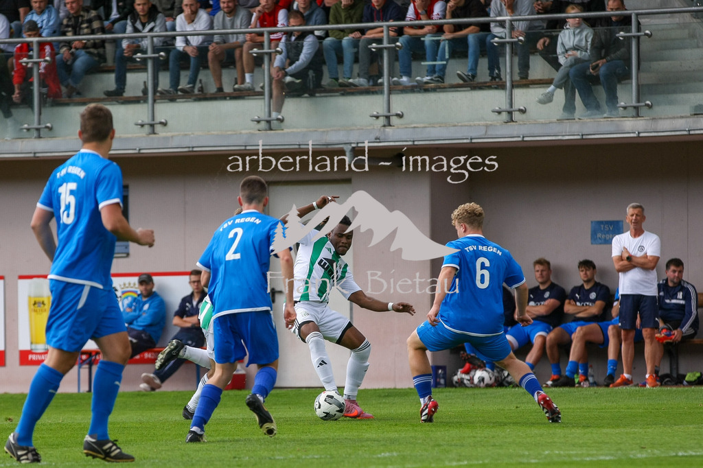 993T2772 | Medien- Sport- Entertainmentfotos