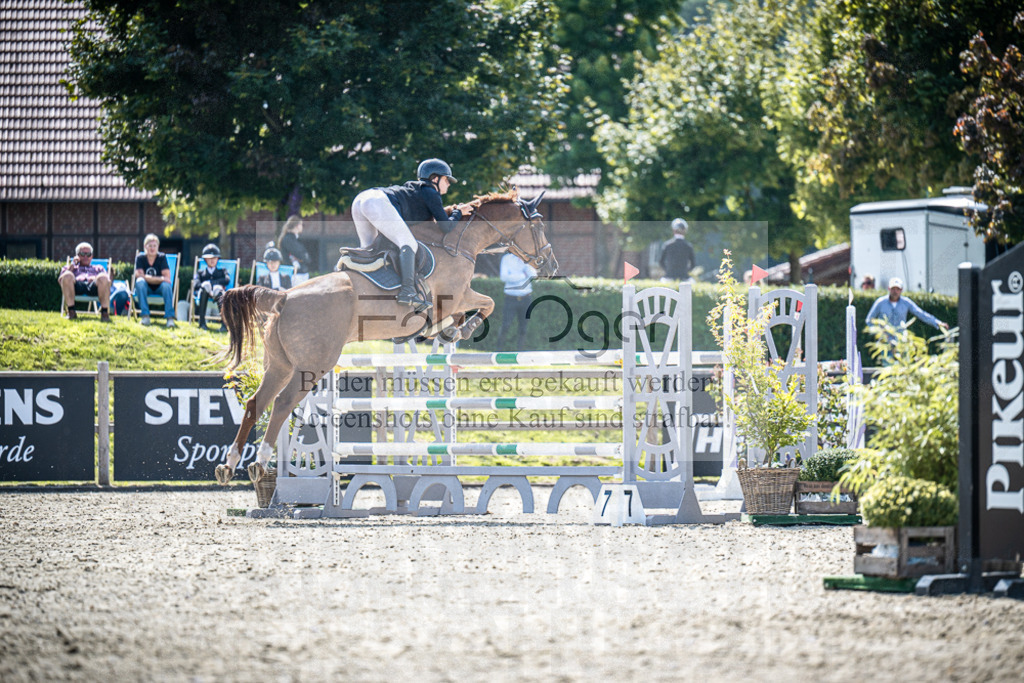 DOS_7654 | Entdecke hochwertige Reitturnierfotos von Foto Oger. Professionell, emotional und authentisch – jetzt Lieblingsmomente im Shop bestellen.Deutschlandweite Turnierfotografie. - Realisiert mit Pictrs.com