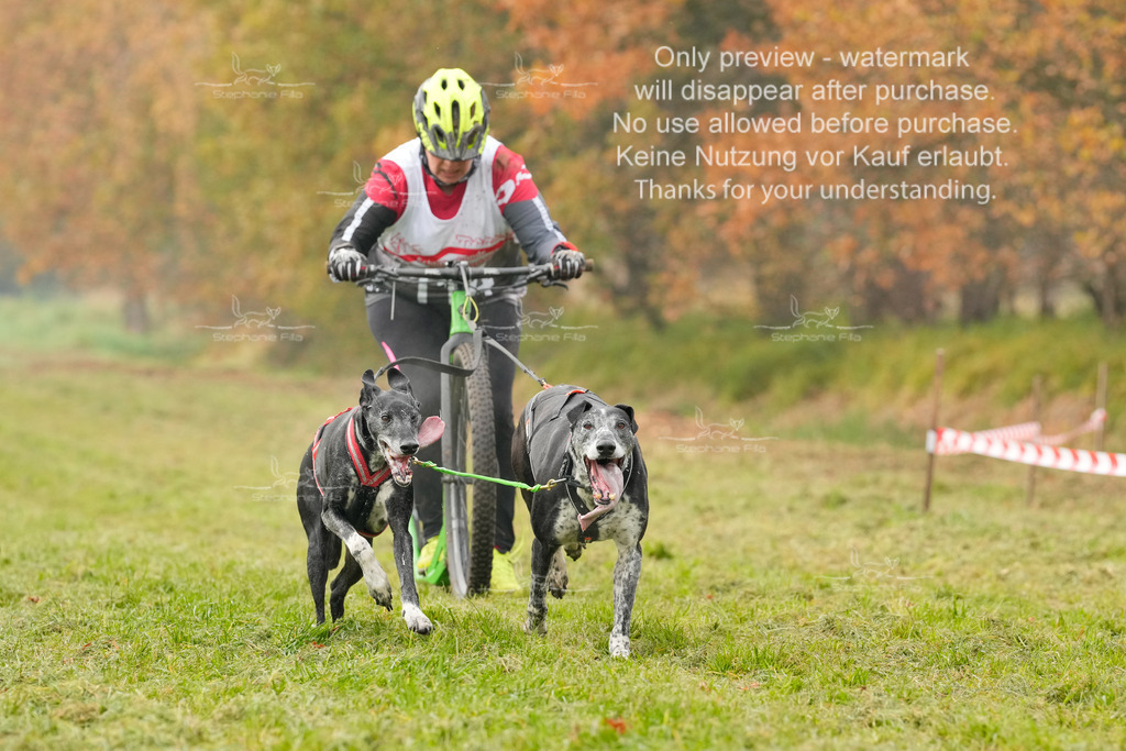 Visbeck_Sa_DS2DR2-96 | stephaniefillaphotographie - Realisiert mit Pictrs.com