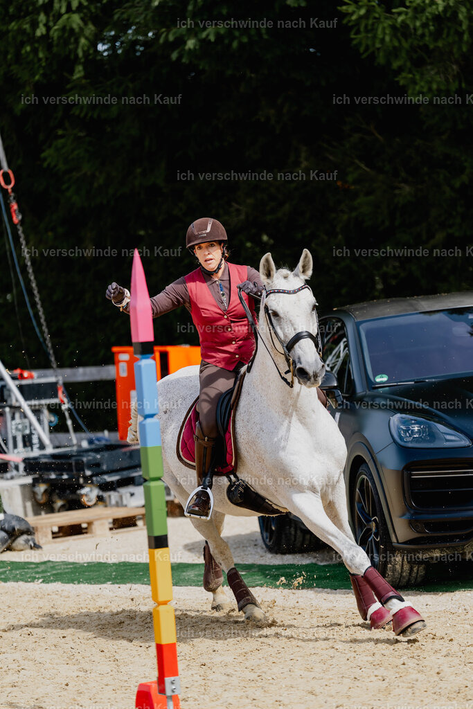 Kelly4_FHC2025-2741 | working equitationturnier fotograf videograf stoibphotography marixx film working equitation deutschland reitsport turnierfotografie eventfotografie equestrian events