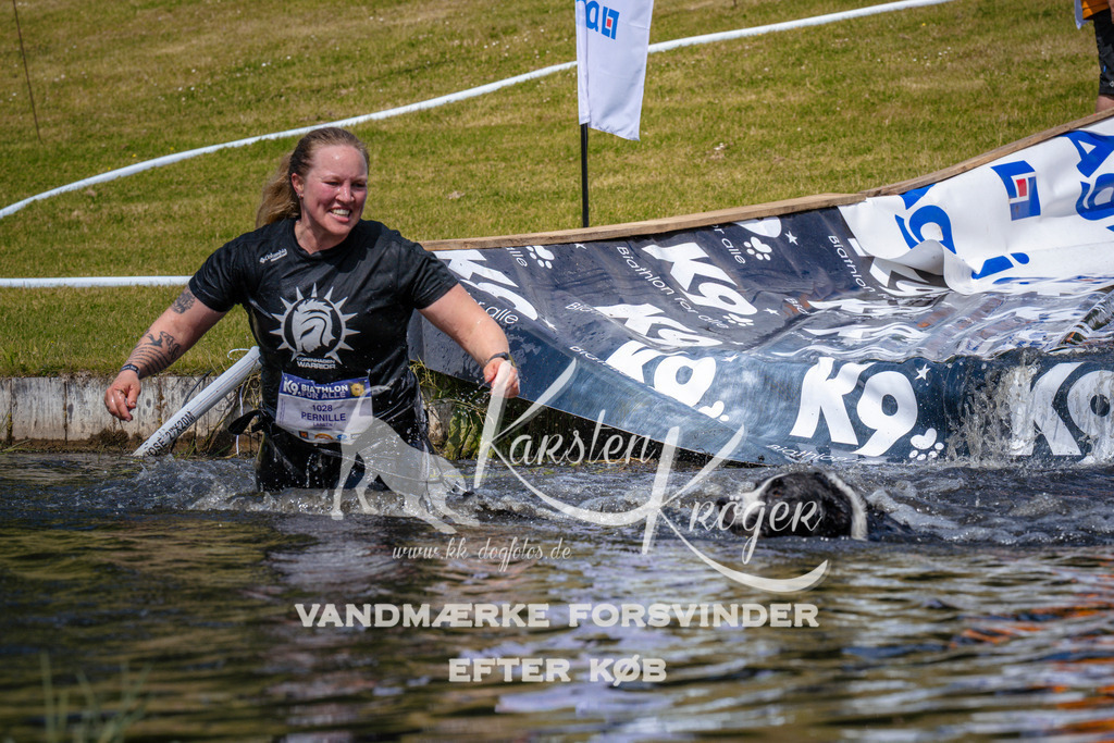 _ZZ964721018 | kk-dogfotos