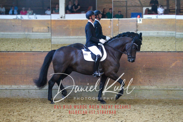 DKP43728 | Turniersportfotografie; Pferdefotografie; Dressurfotografie