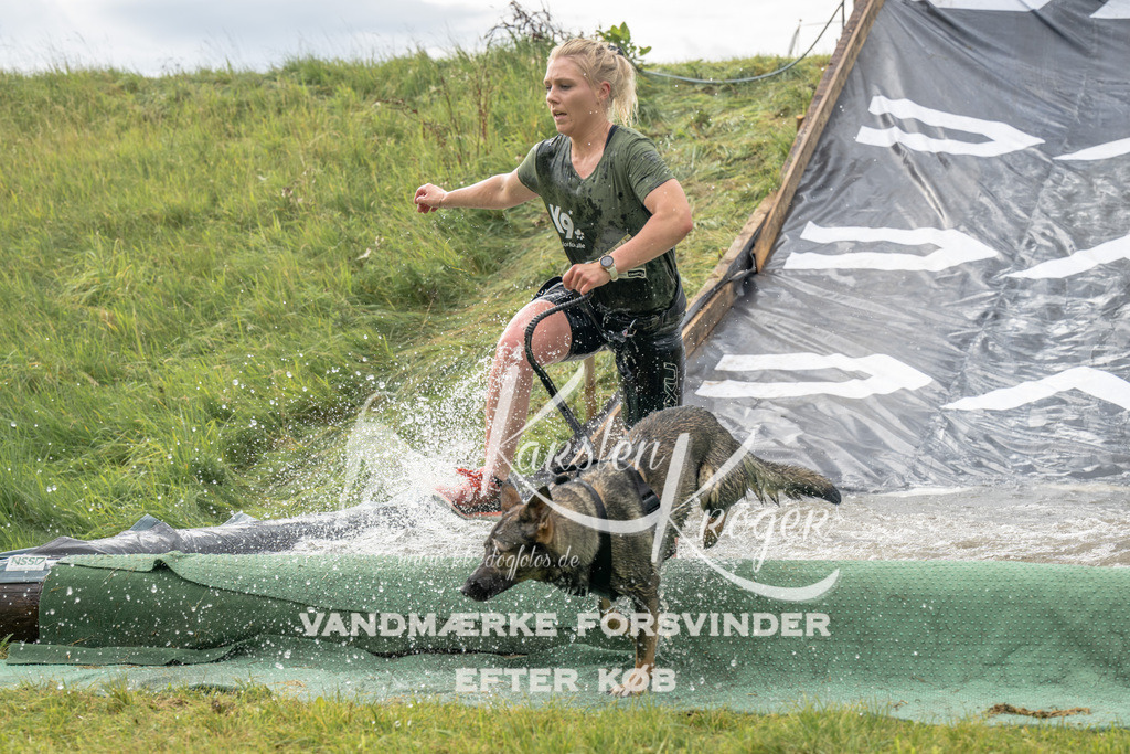 1134_ZZ93040 | kk-dogfotos