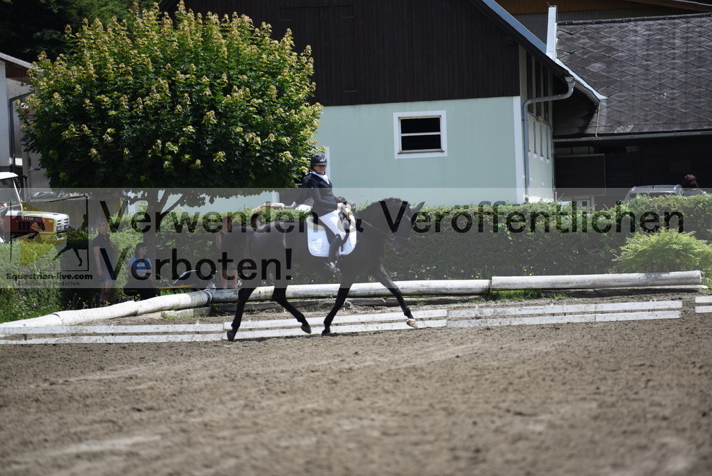 DSC_1341 | equestrian-live-com