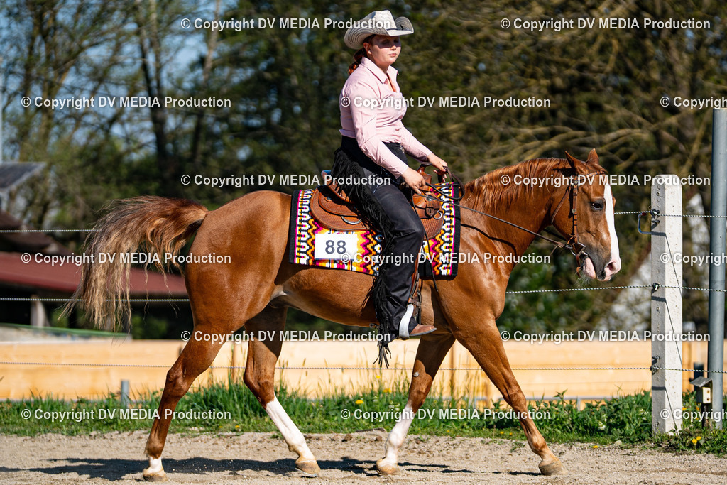 Balingen Tag 1-856 | dv-media-shop - Realisiert mit Pictrs.com