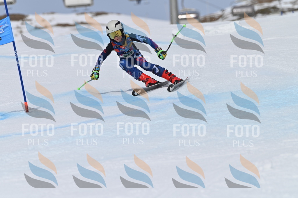 BGV_5502 | holidayphoto