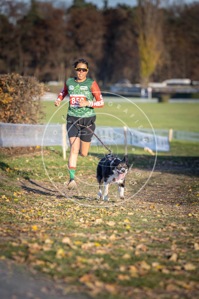 CaniXpix_DV3A3860 | Hundefotografie, Tierfotograf, Pfotenfotografie, Fotoshooting Hund, Hunde Portrait, Hundesport, Hundeportraits, Heideshooting, Hunde, Sportfotograf, Hundefotograf, Turnierhundsport, THS,  - Realisiert mit Pictrs.com