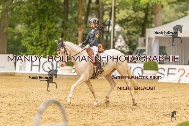 28-8-26 5j DRE-566 | mandyhollmannphotographie