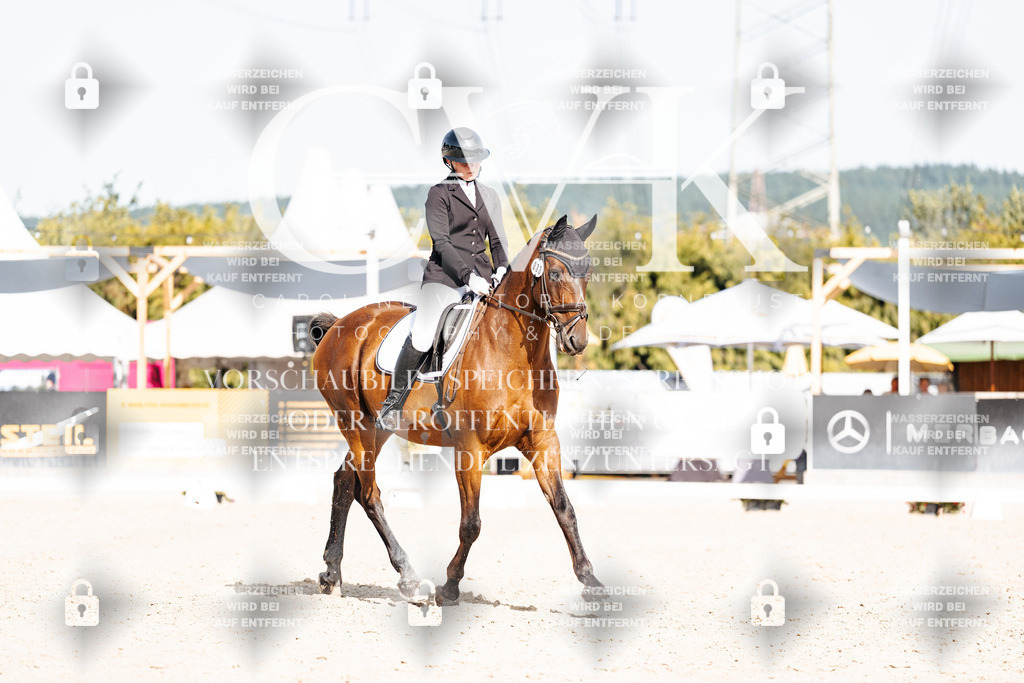 CK905688 | Turnierfotografie Pferdefotografie Trier Rheinland-Pfalz Pferdesport Reitsport Tierfotografie Sportfotografie Pferdevideo Pferdevideografie Equestrianvideography equestrianphotography  - Realisiert mit Pictrs.com