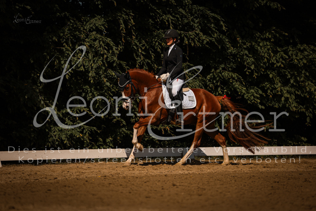 07.FrDrPA00319 | Leoni Ertmer Photography - Realisiert mit Pictrs.com