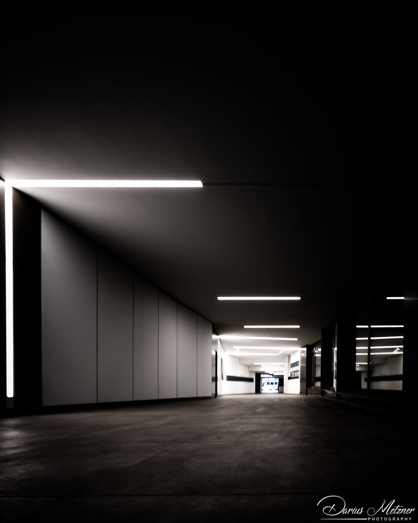 _DSC2631 | Fotografien, Fotos und Bilder aus Mainz, Frankfurt, Wiesbaden und anderen Orten auf der Welt - Fotografiert von Darius Metzner