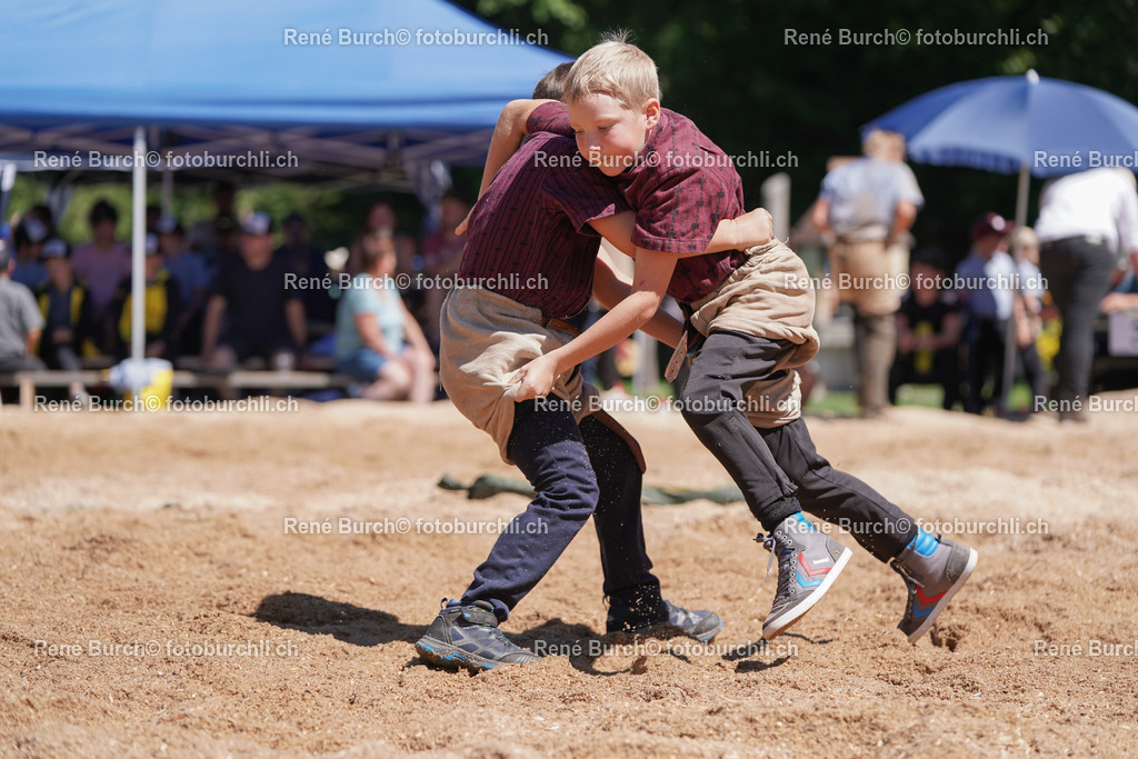 DSC08677 | René Burch leidenschaftlicher Fotograf aus Kerns in Obwalden.  Hier finden sie Sport, Landschaft und Natur Fotografie.
 - Realisiert mit Pictrs.com