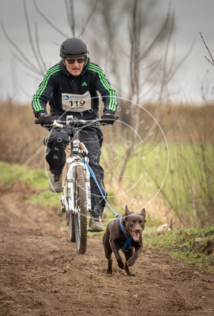 DV3A0882 | Hundefotografie, Tierfotograf, Pfotenfotografie, Fotoshooting Hund, Hunde Portrait, Hundesport, Hundeportraits, Heideshooting, Hunde, Sportfotograf, Hundefotograf, Turnierhundsport, THS,  - Realisiert mit Pictrs.com