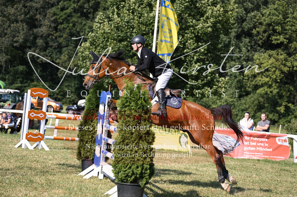 DSC_1505 | Pferde- und Turnierfotografie in Westsachsen. Pferdeportraits, Auftragszeichnungen und intuitive Kunst.