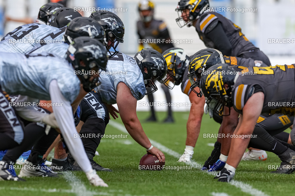 097_Ravens_20230827_1676 | BRAUER-Fotoagentur