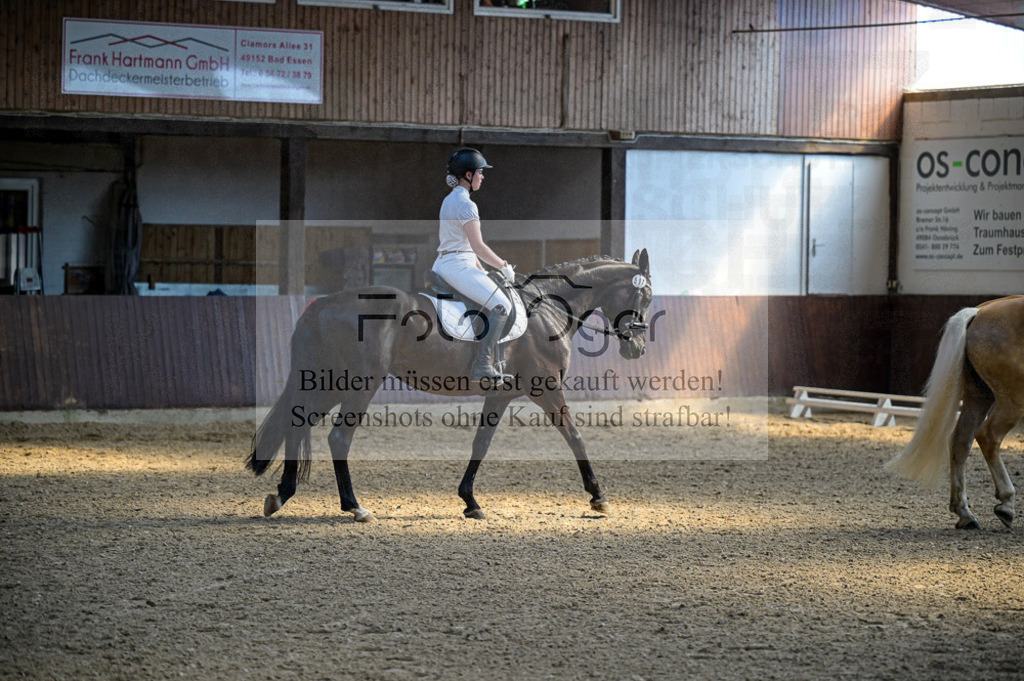 Reitturnier Voxtrup | Entdecke hochwertige Reitturnierfotos von Foto Oger. Professionell, emotional und authentisch – jetzt Lieblingsmomente im Shop bestellen.Deutschlandweite Turnierfotografie. - Realisiert mit Pictrs.com