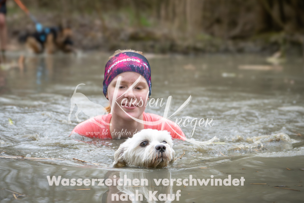 1338_ZZ91193 | kk-dogfotos
