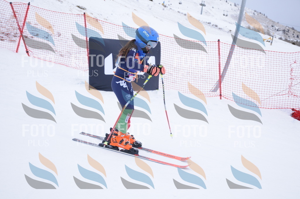 DSC_7625 | holidayphoto