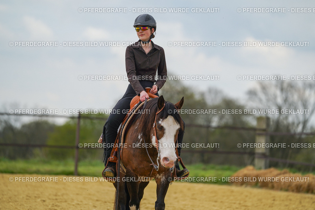 DSC06714 | Pferdegrafie