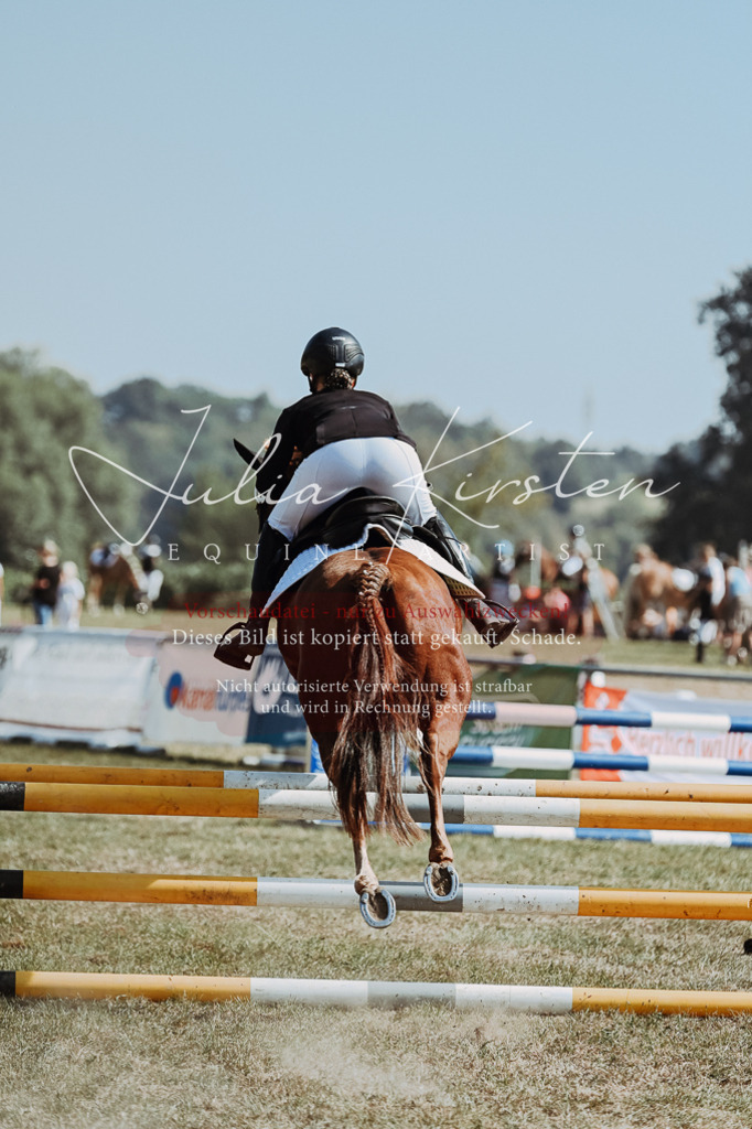 DSC_9378 | Pferde- und Turnierfotografie in Westsachsen. Pferdeportraits, Auftragszeichnungen und intuitive Kunst.