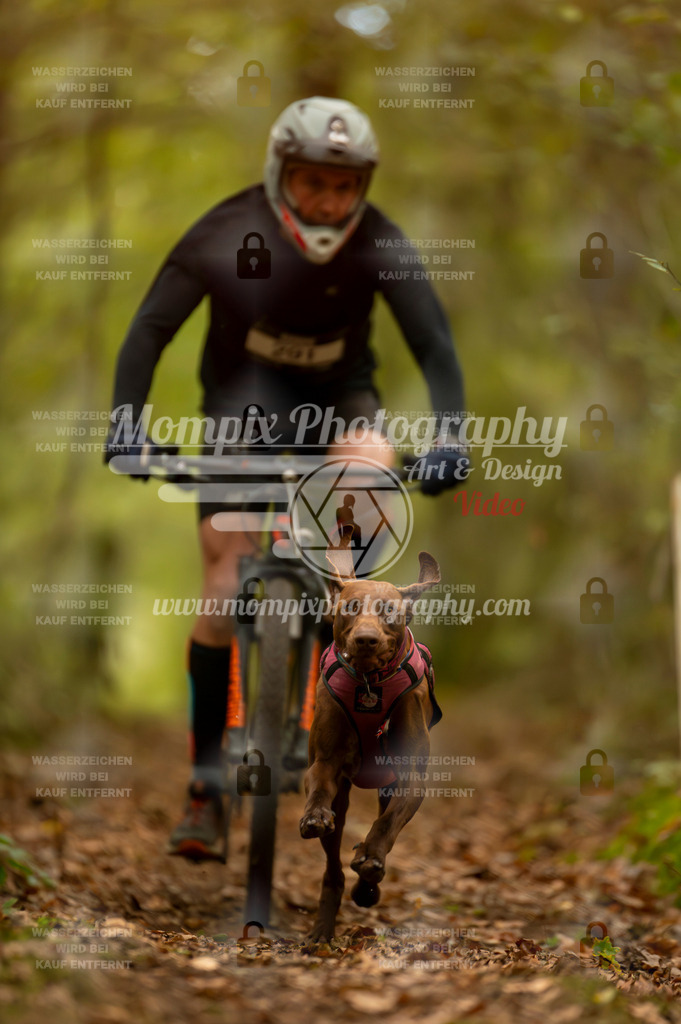 TSB_2023_E1_Bike-12 | PayLife