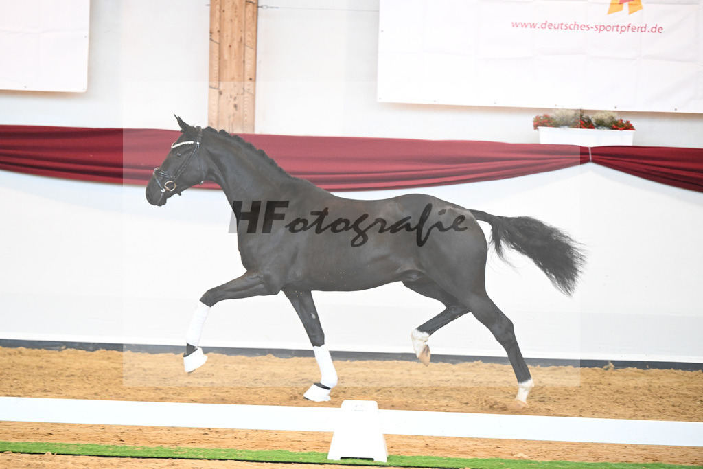 Kat-Nr. 51 v. Toto jr._Winklmaier_66220911 | hf-fotografie - Realisiert mit Pictrs.com