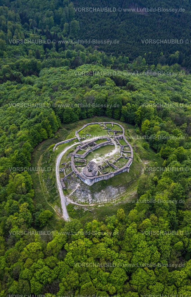 Detmold240505768Falkenburg_Teuto | Luftbild, Ruine Falkenburg und Burganlage an den Hermannshöhen, Höhenburg und historische Sehenswürdigkeit, Teutoburger Wald, Hahnberg, Detmold, Ostwestfalen, Nordrhein-Westfalen, Deutschland
