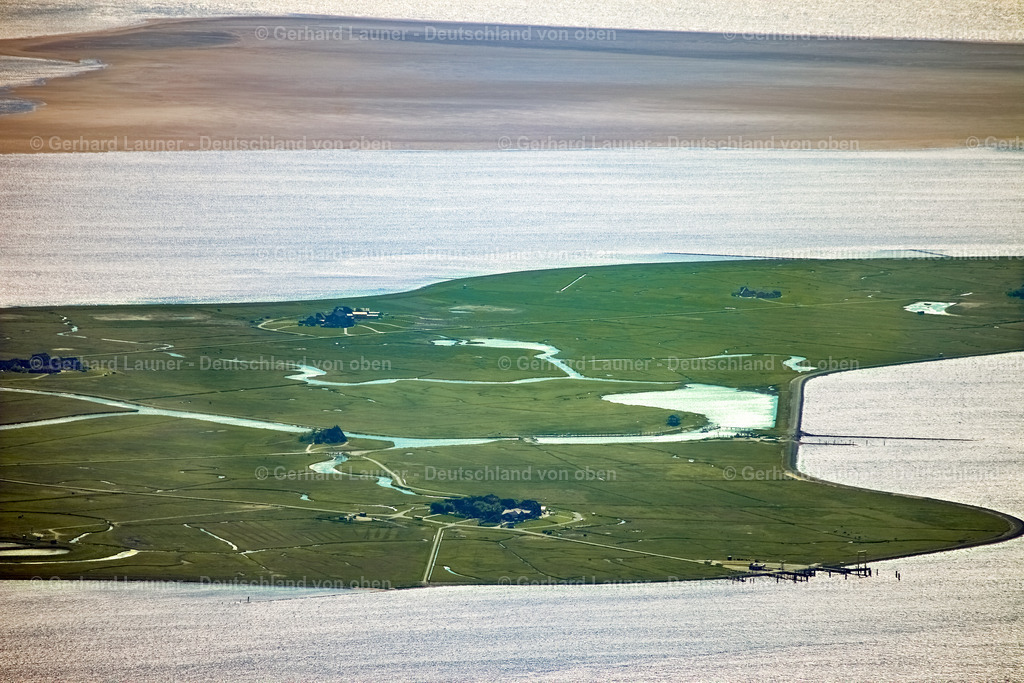 3090716 | Hallig Hooge, Nationalpark Schleswig-Holsteinisches Wattenmeer