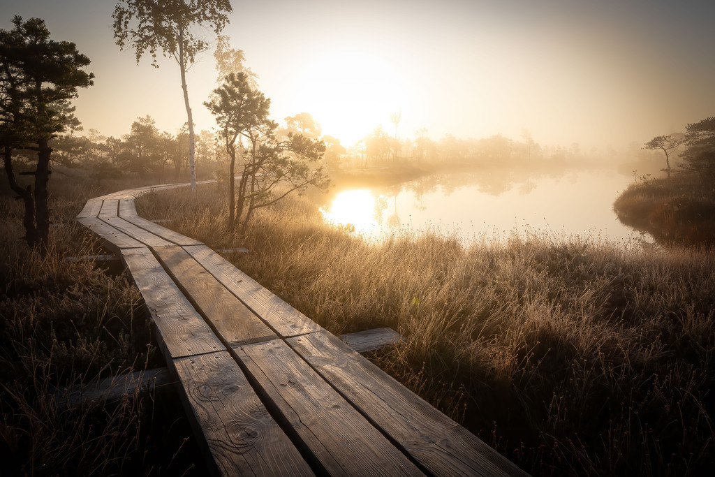 IMG_1387-Bearbeitet-Bearbeitet-Bearbeitet | christophschaarschmidt - Realisiert mit Pictrs.com