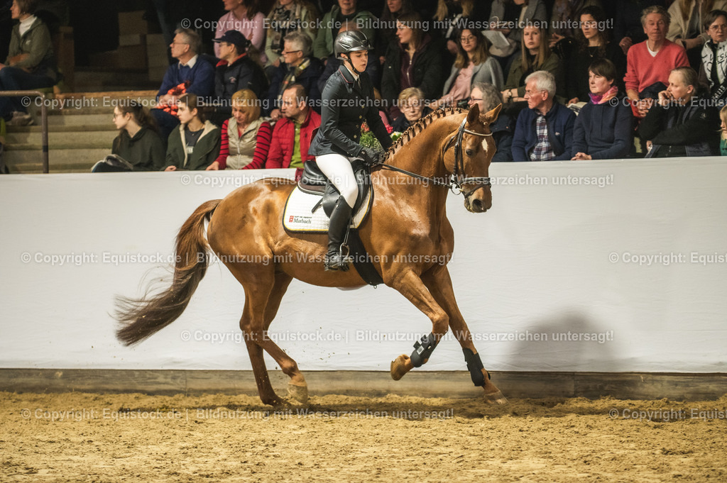 20240302_Hengstvorstellung_Marbach_TOMsPiC_1355 | equistock