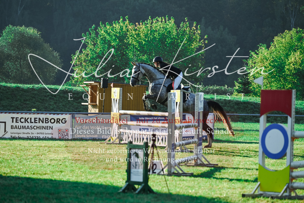 DSC_4145 | Pferde- und Turnierfotografie in Westsachsen. Pferdeportraits, Auftragszeichnungen und intuitive Kunst.