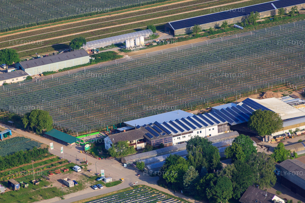 Luftbild: Zapf Hofmarkt, Obst und Spargelhof, Hofcafé Zapf in Kandel im Bundesland Rheinland-Pfalz in Deutschland. Foto: IMG_64962.jpg vom 18.05.2014 durch Werner Riehm/FLY-FOTO.deHofmarkt Zapf Kandel