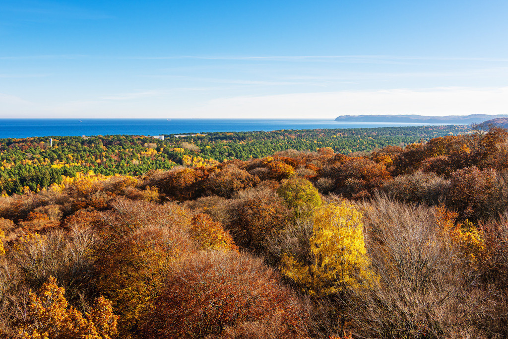 Blick auf herbstliche Wälder und die Ostsee auf der Insel Rügen | Blick auf herbstliche Wälder und die Ostsee auf der Insel Rügen.
